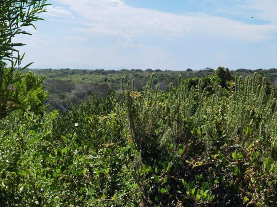 0 Bedroom Property for Sale in Oyster Bay Eastern Cape